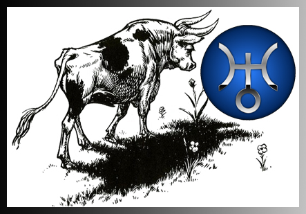 Uranus in Taurus